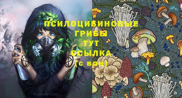 PSILOCYBIN Ростов