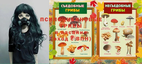 PSILOCYBIN Ростов