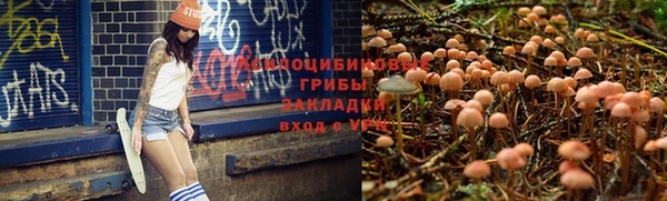 PSILOCYBIN Ростов