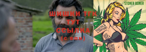 PSILOCYBIN Ростов